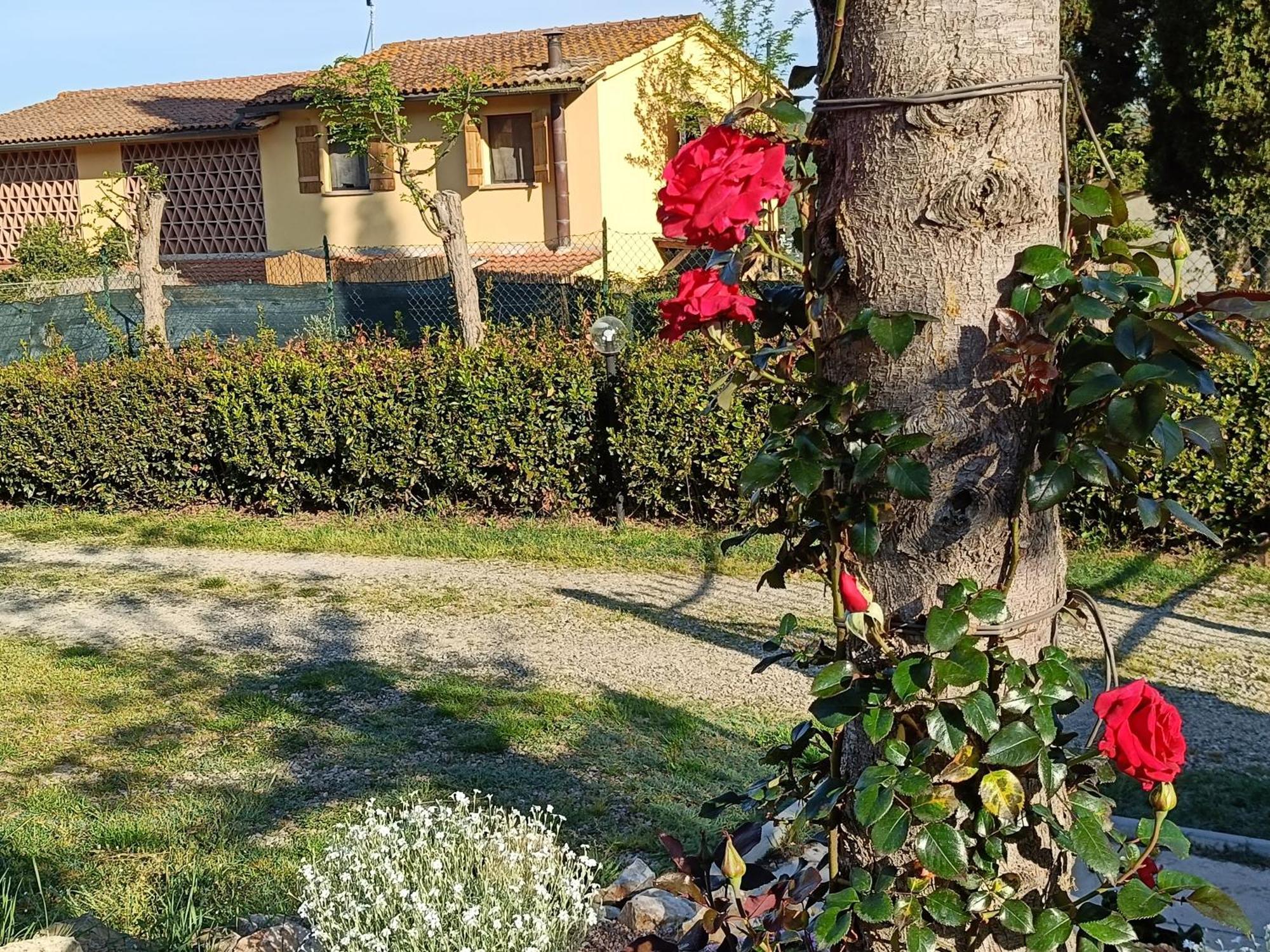 فيلا Casa Orneto بودجيبونسي المظهر الخارجي الصورة
