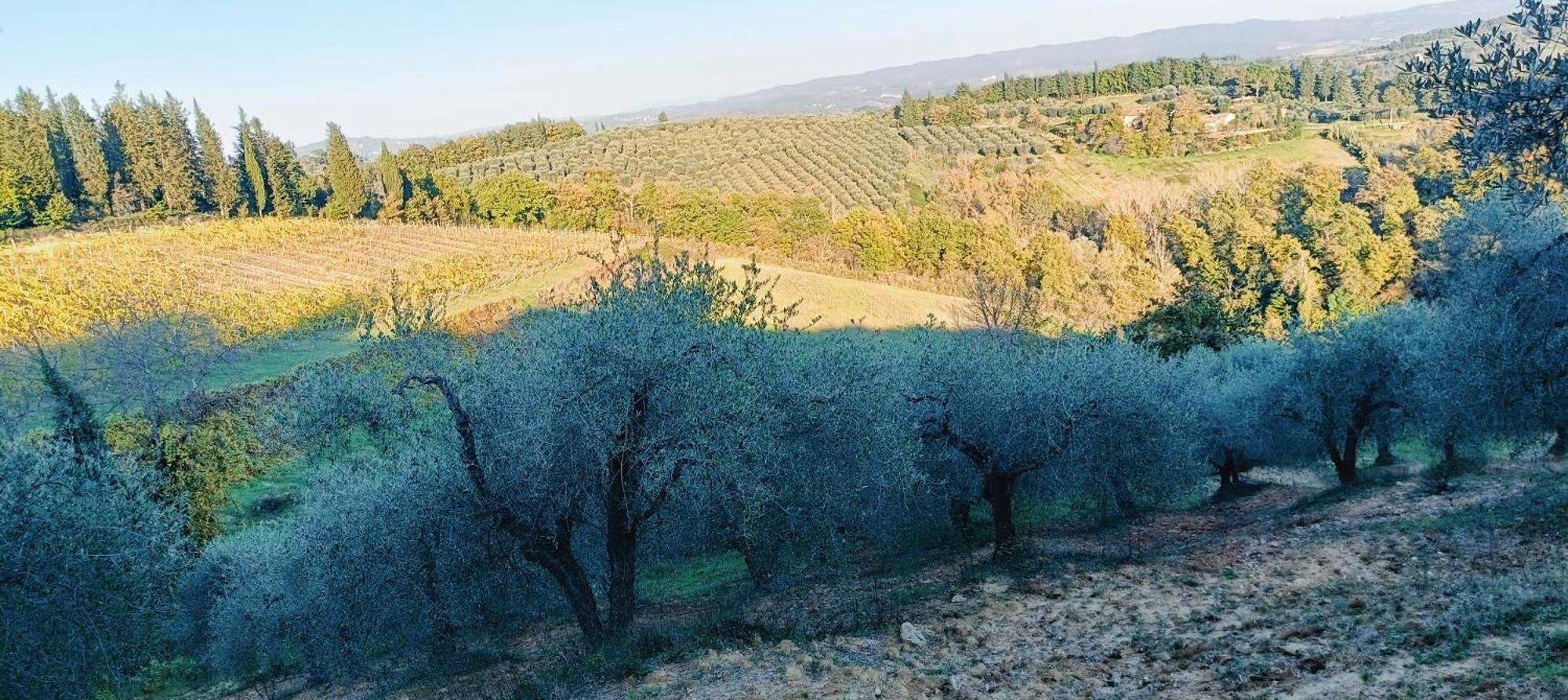 فيلا Casa Orneto بودجيبونسي المظهر الخارجي الصورة