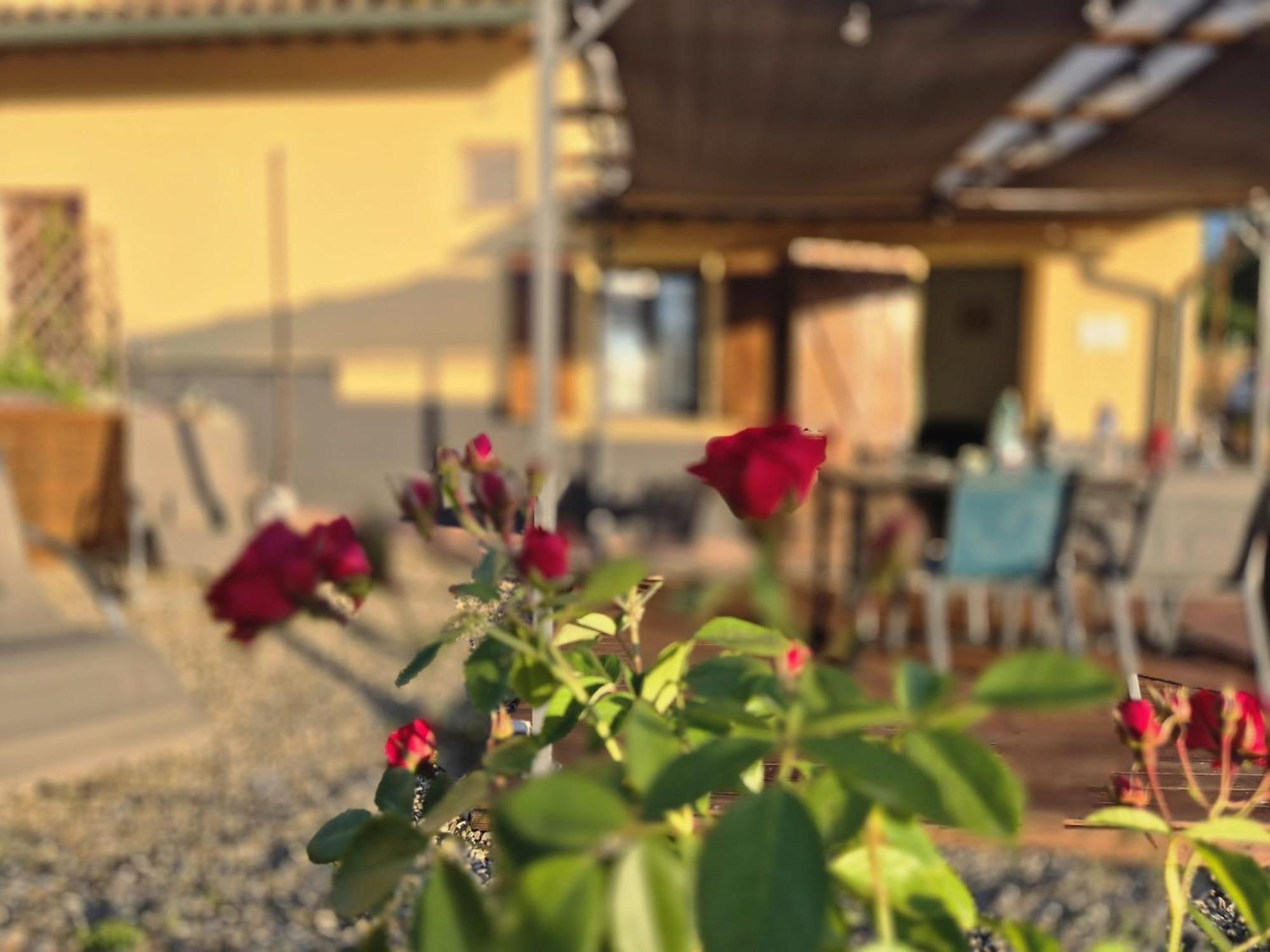 فيلا Casa Orneto بودجيبونسي المظهر الخارجي الصورة